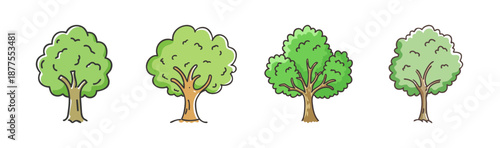 Group of four stylized beech trees showcasing green foliage and branching patterns.