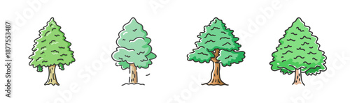 Set of four evergreen cedar trees with conical shapes and green needles.