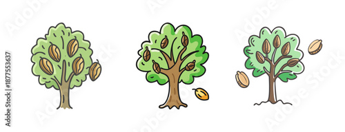 Three cartoon pecan trees with nuts, isolated on white background