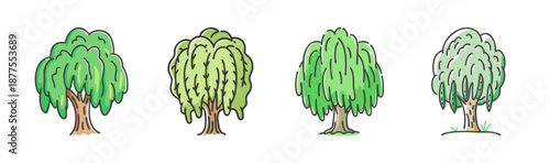 Assortment of four weeping willow trees with flowing branches and watercolor
