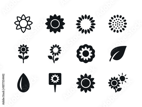 Sunflower Icon Set. Sunflower icons. Solid icon set of Sunflower icons: sunflower outline, solid bloom, petal ring, center seeds, growing plant, stem curve,