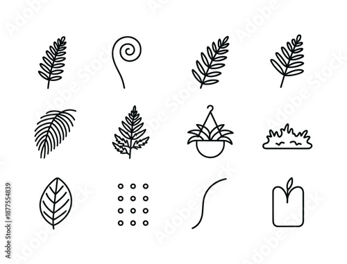Fern Icon Collection. Fern. Line icon set of ferns: fern frond, curled fiddlehead, split leaflet, fern branch, tropical fern, forest fern, hanging fern pot,