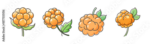 Four hand-drawn orange cloudberries with green leaves on white.