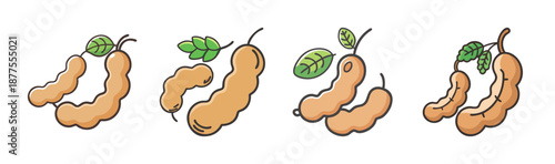 Tamarind fruit pods with leaves, isolated on white background, vector illustration