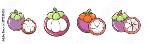 Mangosteen fruit, whole and sliced, isolated on white background, vector illustration