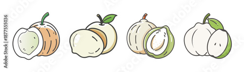 White sapote fruit, whole and sliced, isolated on white background, vector illustration