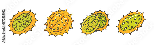 Kiwano horned melon, whole and sliced, isolated on white background, vector illustration