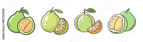 Pomelo fruits, whole and sliced, green citrus, isolated vector illustration.