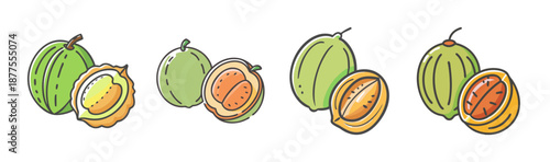 Mamoncillo fruits, whole and halved, green tropical, isolated vector.