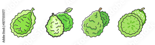 Kaffir lime fruits, whole and sliced, bumpy green citrus, isolated vector.