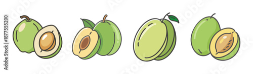Hand drawn vector illustration of hog plum fruit, whole and halved
