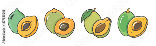 Hand drawn vector illustration of lucuma fruit, whole and halved