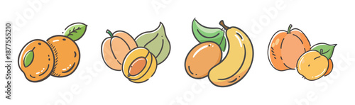 Assorted nance fruits, whole and halved, with leaves, vector illustration