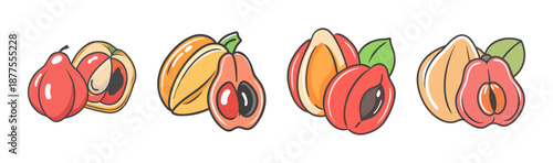 Assorted ackee fruits, whole and halved, with leaves, vector illustration