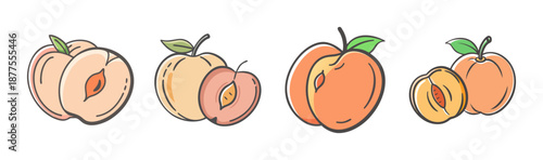 Hand-drawn peachy fruit illustrations with leaves and pits, isolated on white.
