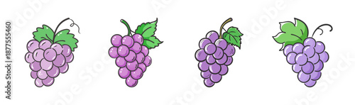Hand-drawn purple grape bunch illustrations with green leaves, isolated on white.
