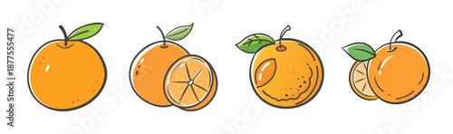 Set of four hand-drawn oranges, whole and sliced, with green leaves on white.
