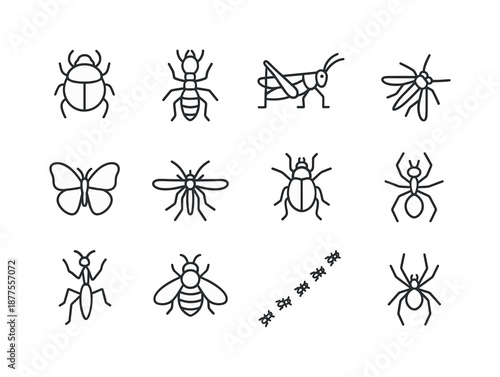 Savanna Insect Icons. Savanna Insects. Line icon set of Savanna Insects: dung beetle, termite, grasshopper, butterfly, mosquito, dragonfly, praying mantis,