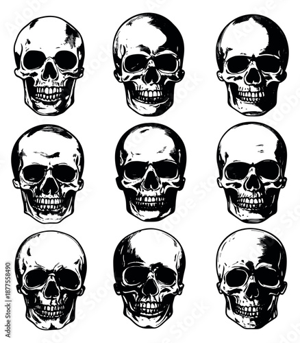 Hand drawn line art skull set featuring different anatomical skull illustrations for tattoo and Halloween designs