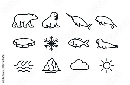 Arctic Marine Icons. Arctic marine mammals. Line icon set of Arctic marine mammals: polar bear silhouette, walrus, narwhal, beluga, ice floe, snowflake, fish,
