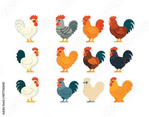 Colorful Rooster Icons. Rooster breeds. Colorful flat vector icons set of Rooster breeds: leghorn comb, plymouth rock comb, rhode island red comb, sussex comb,