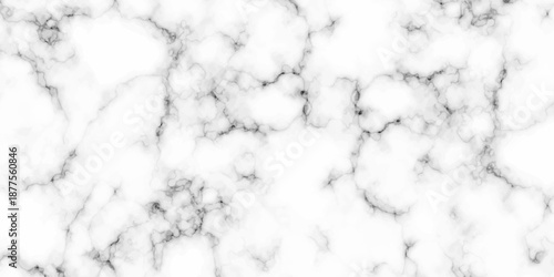 White and black Stone ceramic art wall interiors backdrop design. abstract light elegant black for do floor ceramic counter texture stone slab smooth tile gray silver natural for interior decoration.