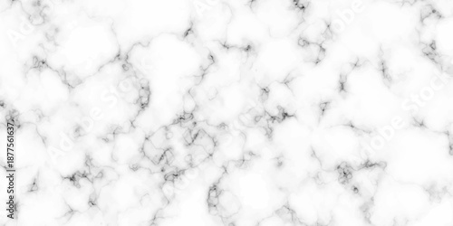 White and black Stone ceramic art wall interiors backdrop design. abstract light elegant black for do floor ceramic counter texture stone slab smooth tile gray silver natural for interior decoration.