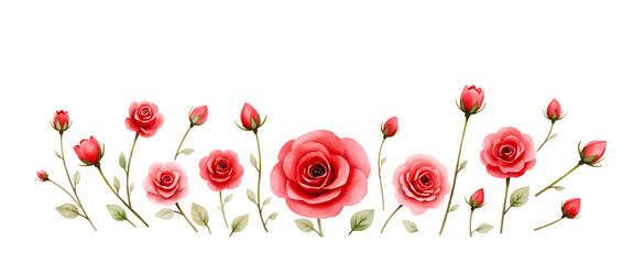 Watercolor illustration banner of delicate pink red roses and buds against pure white background