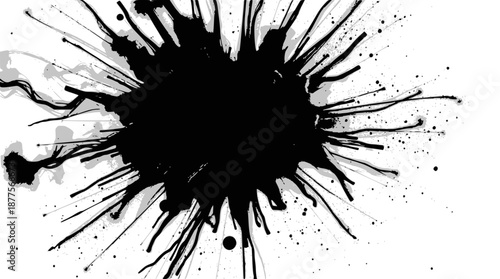 Dynamic black ink splatter on a clean white background, creating an abstract and artistic burst pattern.