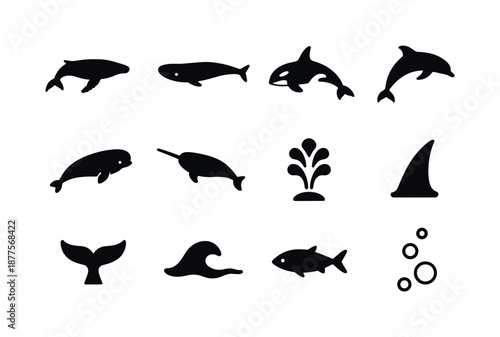 Marine Mammals Icon Set. Whales and dolphins. Solid icon set of whales and dolphins: humpback silhouette, blue whale silhouette, orca silhouette, dolphin