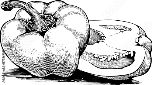 Monochrome illustration of a bell pepper, one whole and one half showing seeds