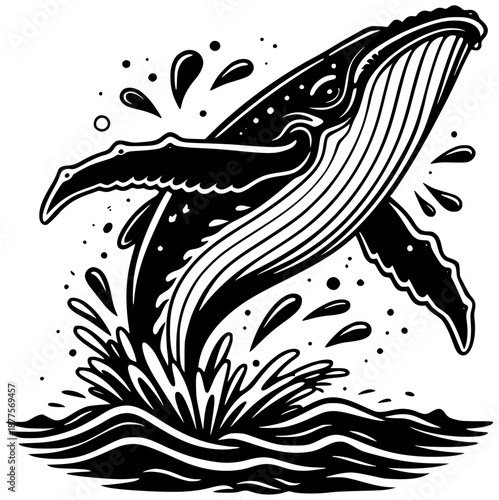 sea illustration nature silhouette marine logo mammal icon ocean outline animal whale wildlife underwater water blue marine life life humpback shape and vector graphic background