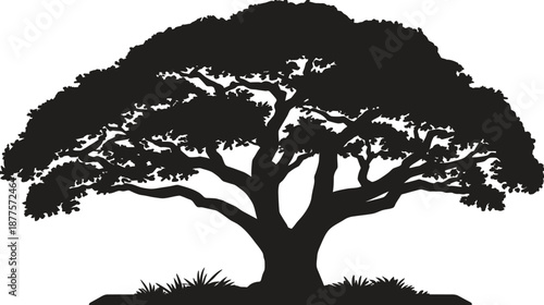A silhouette of a large, mature tree with a full canopy. Grass sits at its base