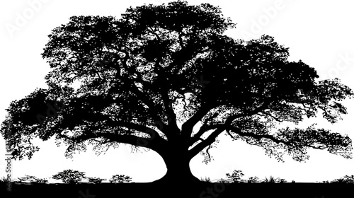 A sprawling, silhouetted tree with dense foliage and a thick trunk against a stark white background