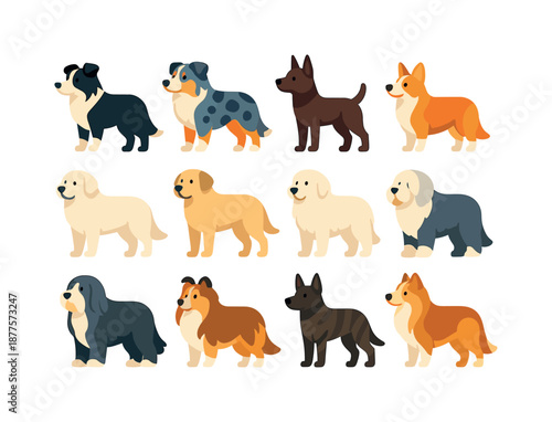 Farm Dog Vector Icons. Farm Dog Breeds. Colorful flat vector icons set of Farm Dog Breeds: border collie, australian shepherd, kelpie, corgi herder, great
