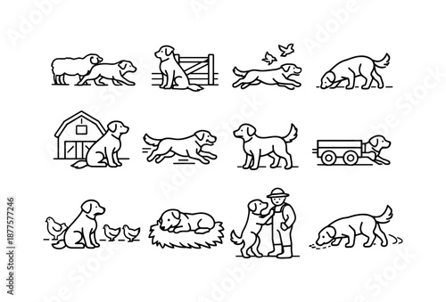 Farm Dog Icons. Farm dog. Line icon set of farm dog activities: herding sheep, guarding gate, chasing birds, sniffing ground, sitting by barn, running in