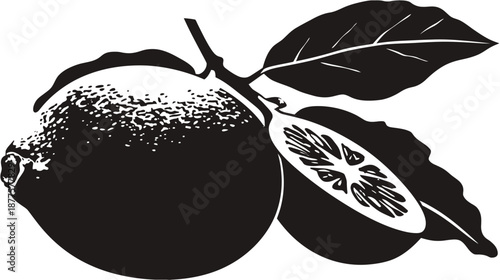 Stylized black and white illustration of citrus fruit, one halved, with leaves