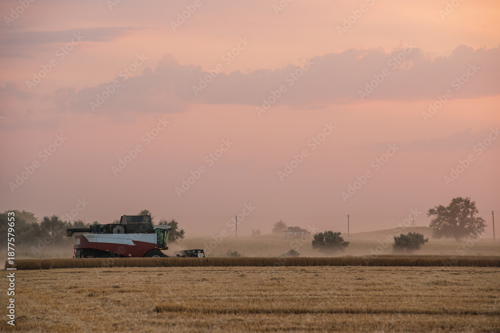 Naklejka premium a combine harvester in a wheat field, a bright orange sunset in the sky