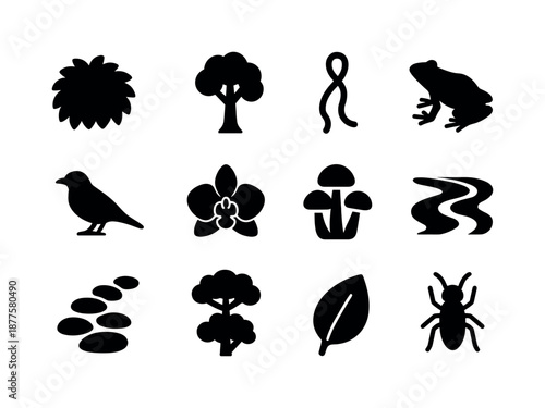 Rainforest Iconography. Deep rainforest. Solid icon set of deep rainforest: dense foliage, tall tree, vine loop, frog silhouette, bird silhouette, orchid