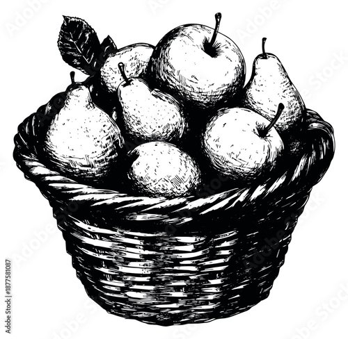 Hand drawn line art illustration of a fruit basket depicting apples and pears for harvest and healthy eating