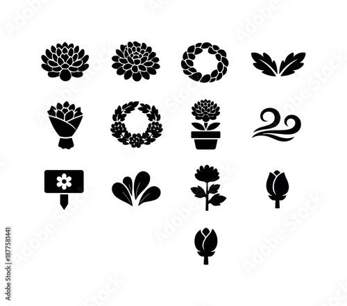 November Birth Flowers Icons. November birth flowers. Solid icon set of November birth flowers: chrysanthemum, mum bloom, petal ring, leaf arc, bouquet wrap,
