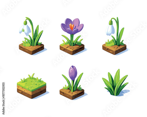 Snowdrop Crocus Icons. Snowdrop & Crocus Icons. Isometric flat vector icons set of Snowdrop & Crocus Icons: snowdrop flower bloom, crocus flower bloom,