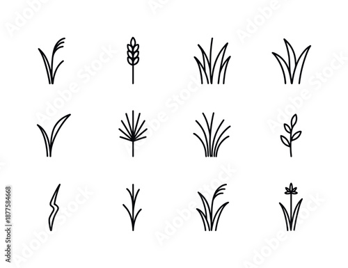 Wild Grass Icons. Wild grass types. Line icon set of Wild grass types: reed blade, wheat-like stalk, narrow grass, wide grass, bent stem, seed head, dry grass,