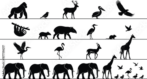 Wildlife animal silhouettes lineup featuring mammals birds safari zoo nature fauna collection isolated black vector illustration design