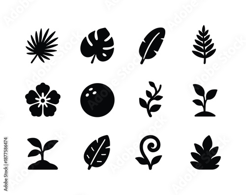 Tropical Plant Icons. Tropical plants. Solid icon set of tropical plants: palm leaf, monstera leaf, banana leaf, fern frond, tropical flower, coconut icon,