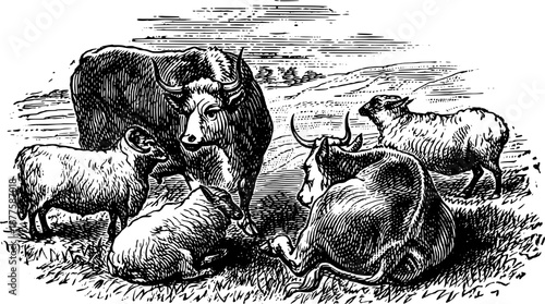 Vintage Farmyard Animal Illustrations in Engraved Rustic Style