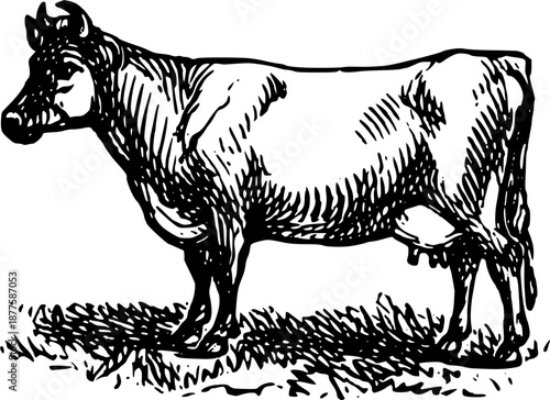 Vintage Farmyard Animal Illustrations in Engraved Rustic Style