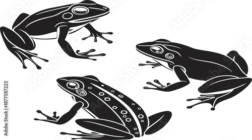 Black and White Tropical Frog Silhouette Vector 