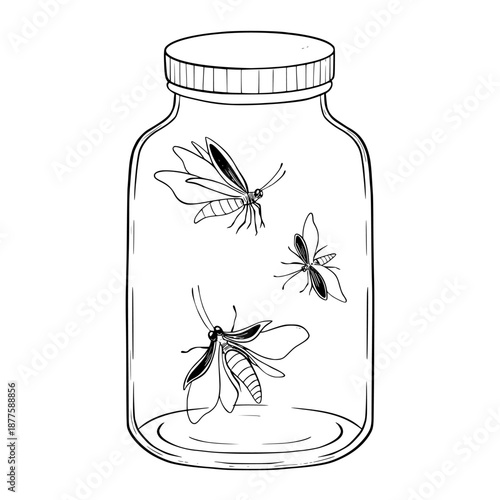 Vector fireflies inside glass jar drawn in graphic line style. Linear illustration of mystical insects for magic nature themes, fairy tales, night scenes, posters, prints, tattoos and fantasy arts.