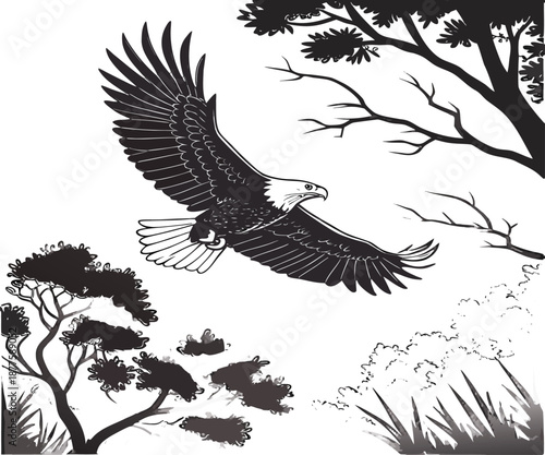 Photos Majestic Bald Eagle Soaring Over Forest Vector Illustration